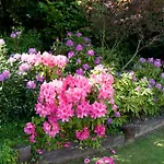 Bed & Breakfast Le Vieux Pressoir Pont-l'Eveque (Calvados)