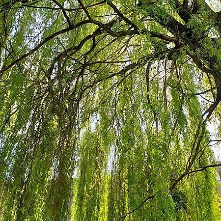 Le Vieux Pressoir
