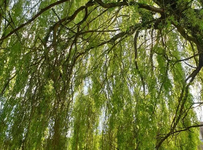 Le Vieux Pressoir 3*