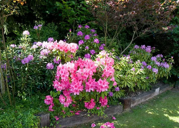 Bed & Breakfast Le Vieux Pressoir Pont-l'Eveque (Calvados)